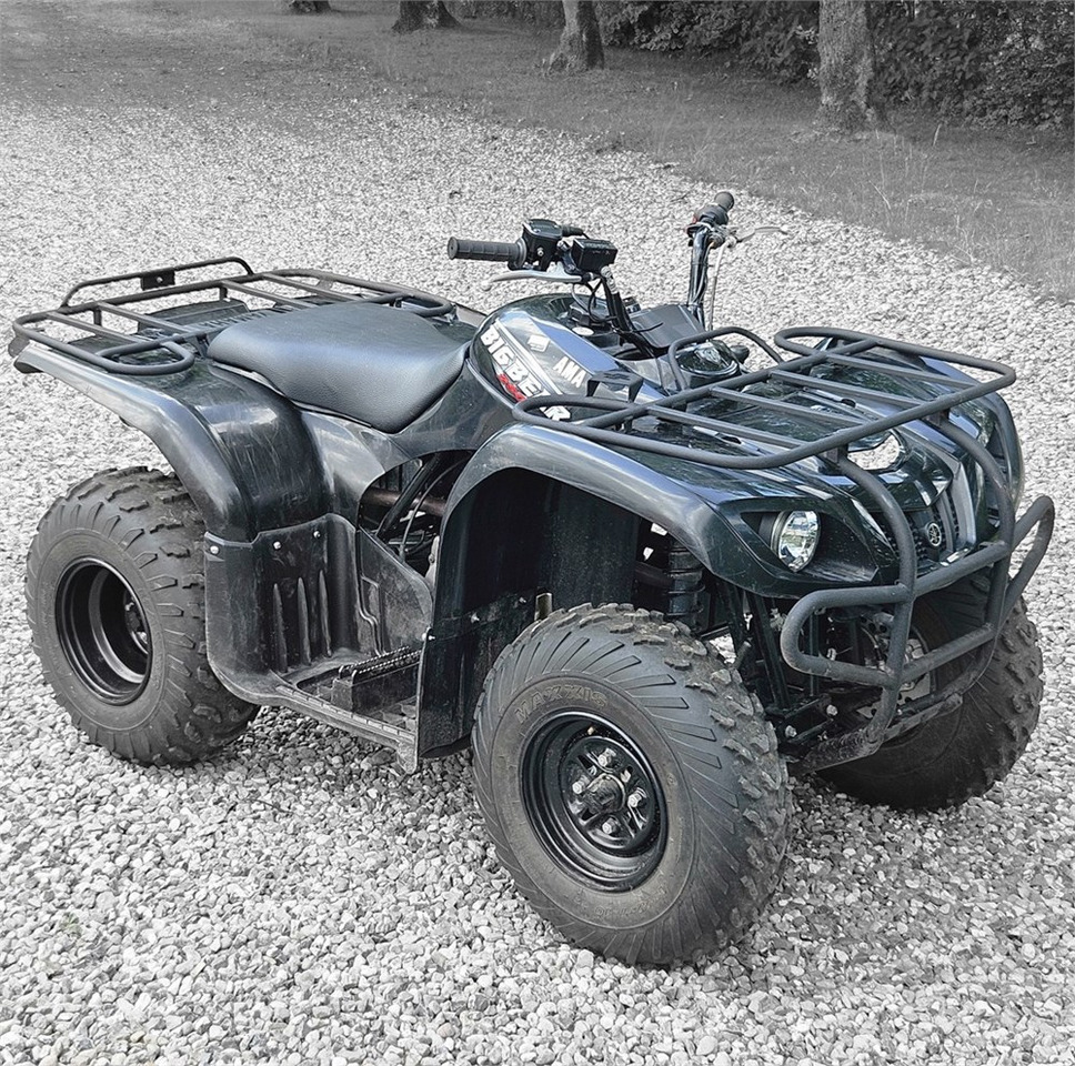 Yamaha YFM 250 - Štirikolesnik: slika 1 Yamaha YFM 250 - Štirikolesnik: slika 1