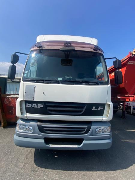 DAF LF 55.220 - Tovornjak zabojnik: slika 5 DAF LF 55.220 - Tovornjak zabojnik: slika 5