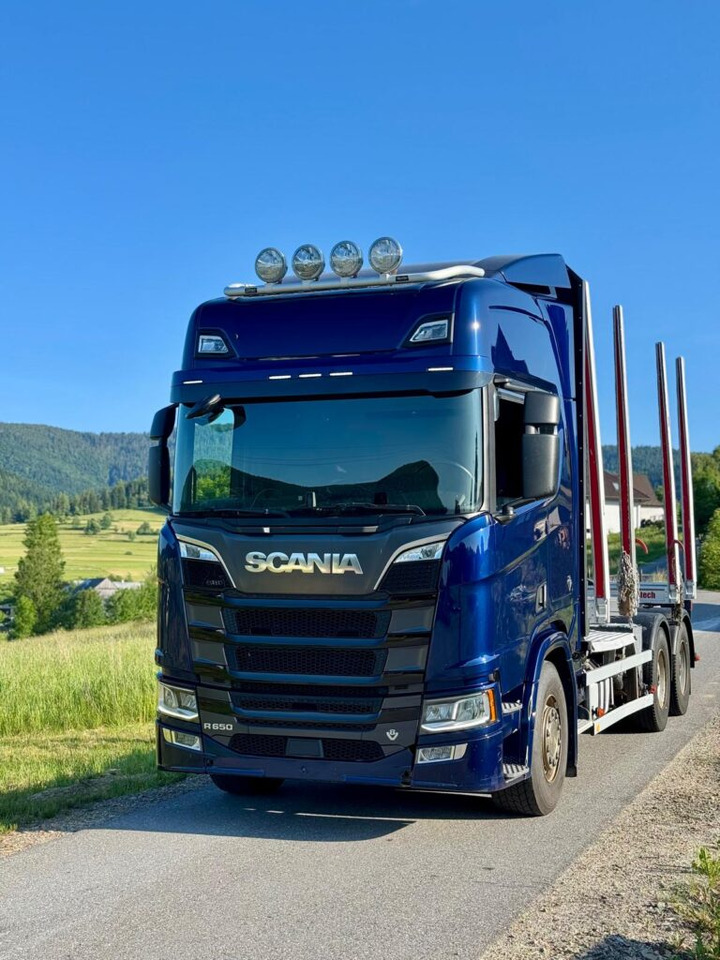 SCANIA 650 V8 6X4 - Tovornjak za prevoz lesa: slika 1 SCANIA 650 V8 6X4 - Tovornjak za prevoz lesa: slika 1