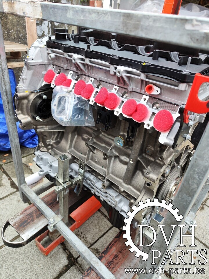 Ford RANGER QJ2R - QW2R - GBVAQJ - Motor za Poltovornjak: slika 1 Ford RANGER QJ2R - QW2R - GBVAQJ - Motor za Poltovornjak: slika 1