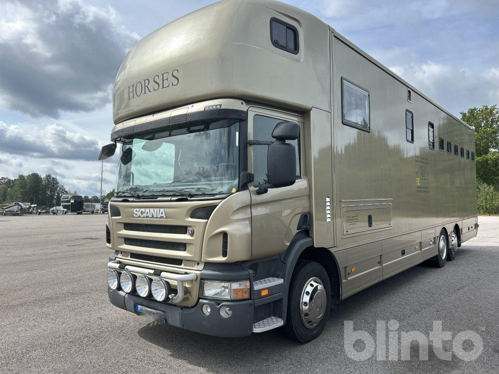 SCANIA P360DB6X2*4MNB - Tovornjak za prevoz konj: slika 1 SCANIA P360DB6X2*4MNB - Tovornjak za prevoz konj: slika 1