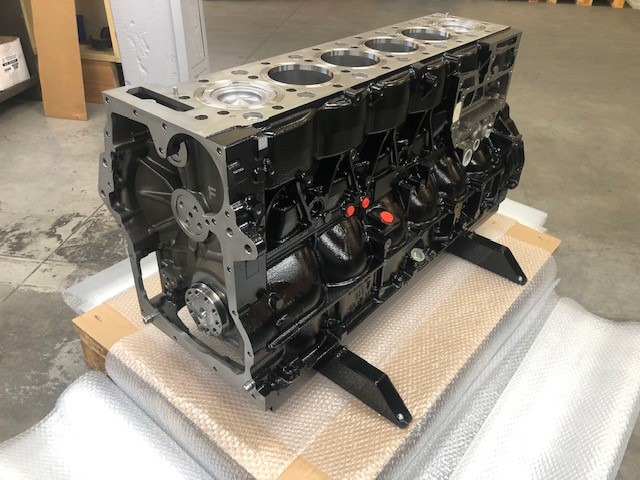 MOTORE MAN D2676LF52 - 460CV - Euro6c - Motor: slika 1 MOTORE MAN D2676LF52 - 460CV - Euro6c - Motor: slika 1