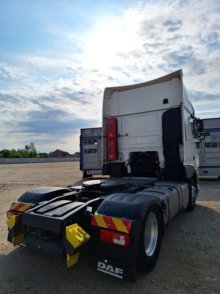 DAF XF 480 - Vlačilec: slika 5 DAF XF 480 - Vlačilec: slika 5