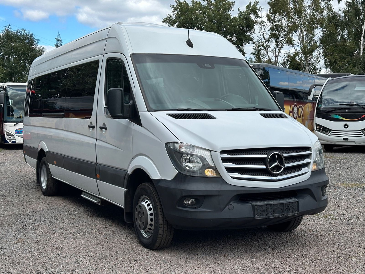 Mercedes-Benz Sprinter 516 CDi - Minibus, Potniški kombi: slika 1 Mercedes-Benz Sprinter 516 CDi - Minibus, Potniški kombi: slika 1